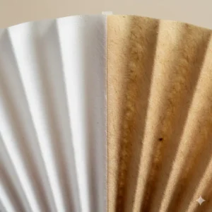 Close-up view of the paper thickness and texture used in coffee filters 2 vs 4.