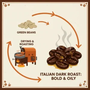 Infographic showing the dark roasting process used for the best italian espresso coffee beans.