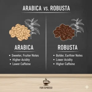 Illustrating the difference between Arabica and Robusta when choosing the best espresso beans for espresso machine.