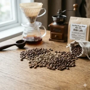 Close up of medium roast best pour over coffee beans showing a smooth and balanced oily surface.