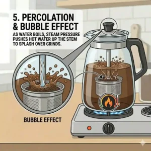 Cross-section graphic illustrating how hot water travels up the central tube to brew coffee inside a glass coffee percolator.