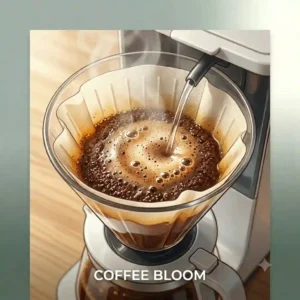 Detailed view of fresh coffee grounds expanding and blooming inside a japanese coffee maker paper filter.